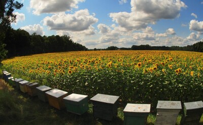 Tekst alternatywny dla architektury 4.